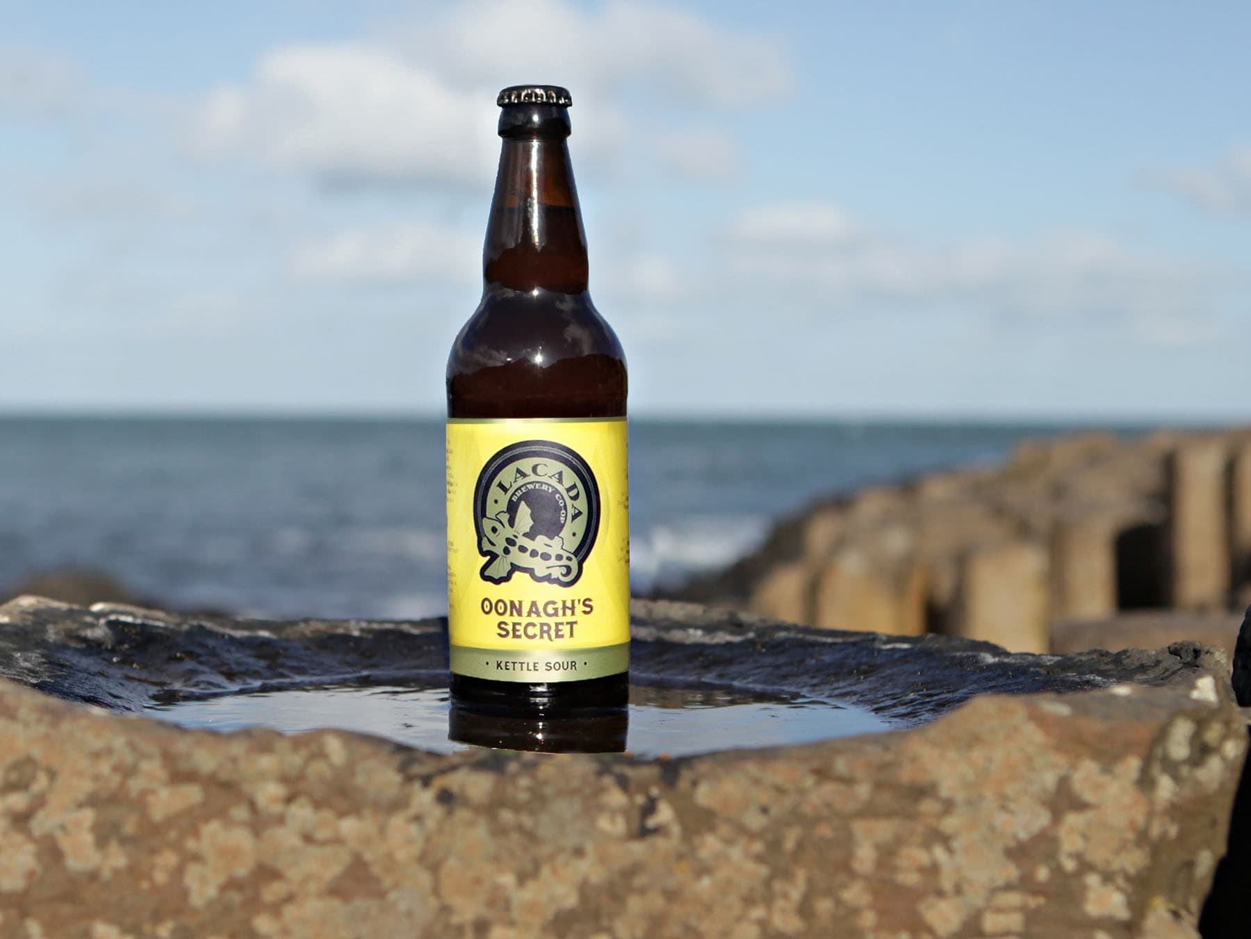 08-2 Lacada at Giant's Causeway copy.jpg