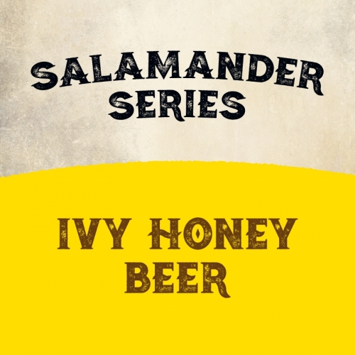 Salamander Series: Ivy Honey Beer